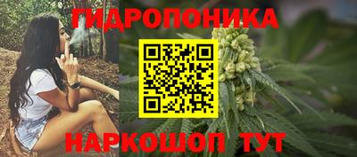 эйфоретик Кимры