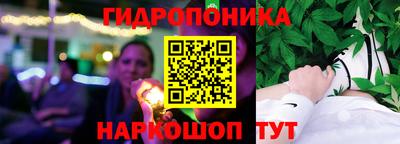 эйфоретик Кимры