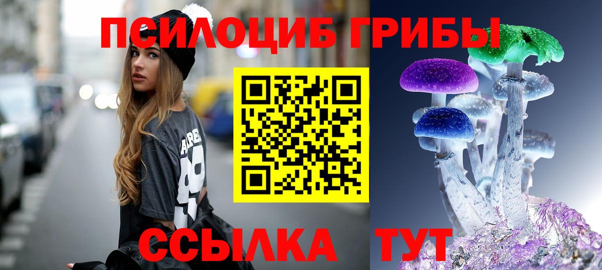Галлюциногенные грибы Cubensis  Вход с VPN  Киселёвск  Галлюциногенные грибы Psilocybe 