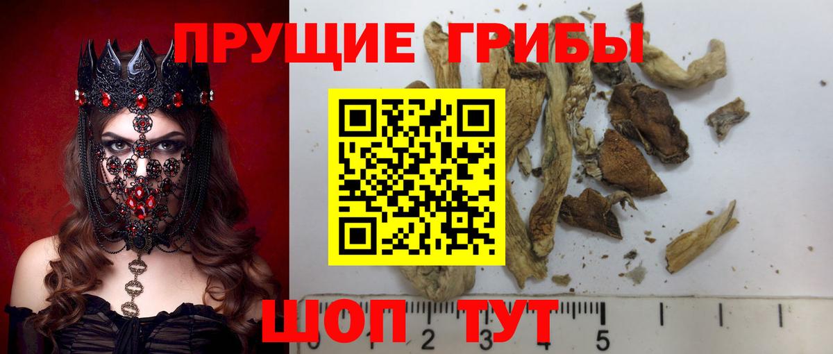 Галлюциногенные грибы MAGIC MUSHROOMS Киселёвск